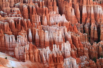 detailed view of Bryce Canyon bright red ground