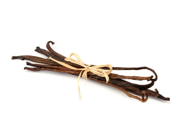 Vanilla beans bundle