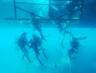 Divers