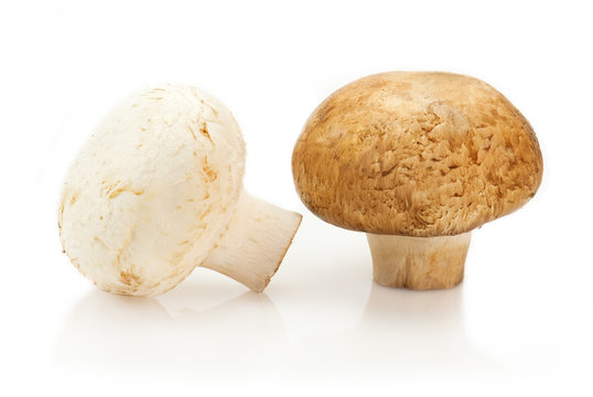 Two champignon mushrooms on white background