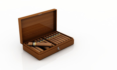 zigarren im humidor 1