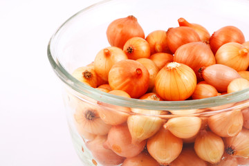 Onion