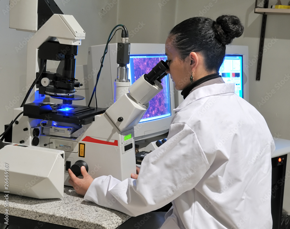 Wall mural researcher working with fluorescent microscope