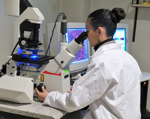 researcher working with fluorescent microscope - 26669167