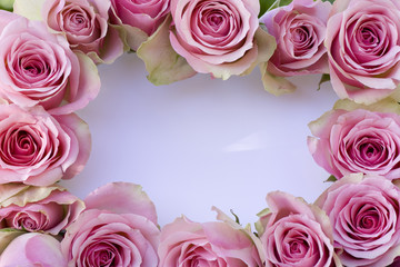 Beautiful pink roses with white card