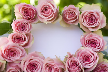 Beautiful pink roses with a white letter
