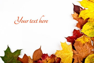 Colorful horisontal frame of fallen autumn leaves