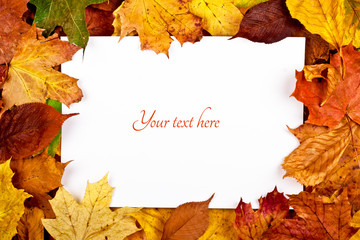 Naklejka na ściany i meble Colorful frame of fallen autumn leaves with text message