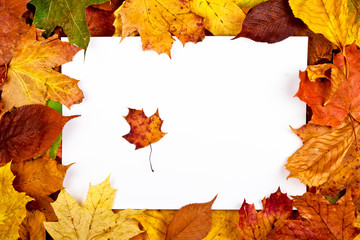 Natural colorful frame of fallen autumn leaves