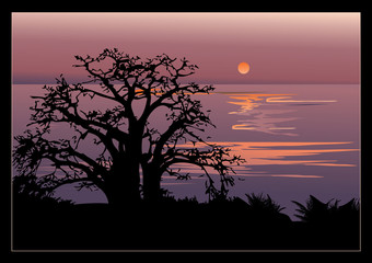Fototapeta premium A beautiful sunset. Vector art-illustration.