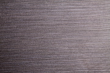 Wood texture. Closeup.