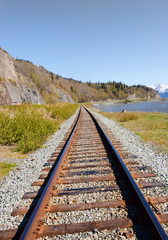 Fototapeta premium Railroad in Alaska