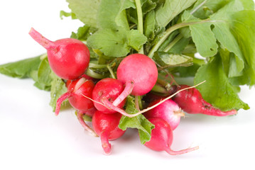 Fresh radishes
