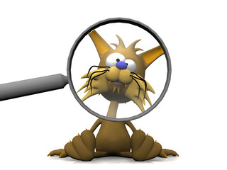 chat à la loupe