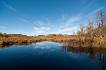 Fototapeta na wymiar Autumn Landscape with Pond and Reflections