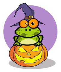 Halloween Frog With A Witch Hat In Pumpkin