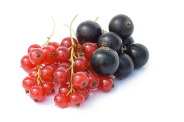 currant isolated on white background