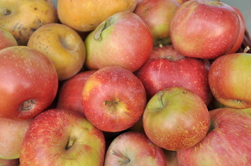 Fototapeta na wymiar pommes du vaucluse