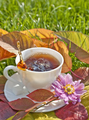 cup of tea in garden