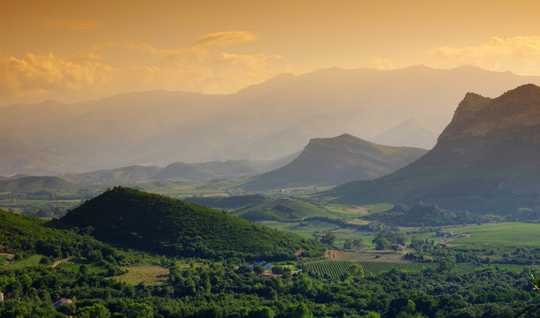 Patrimonio, paysage de Corse