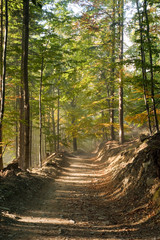 Obraz premium Trail in the mountains