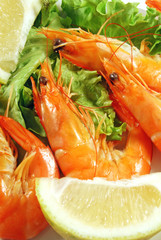 Antipasto di mazzancolle 011