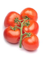 Red tomato