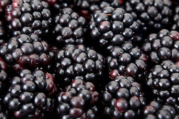 Blackberry berry