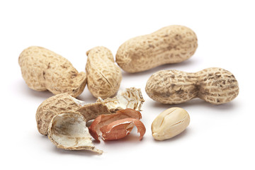 Peanut in shell