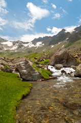 Obraz premium A stream with grass