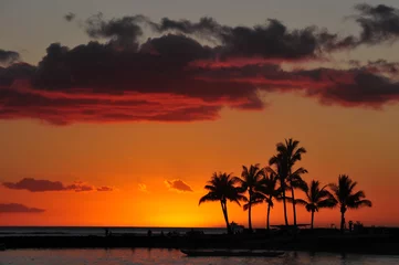 zonsondergang op het strand waikiki honolulu bij de palmen © Silvestrova