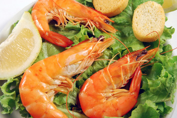 Antipasto di mazzancolle con crostini 002