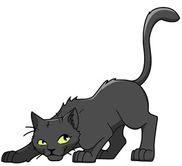 schwarze Katze