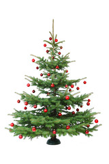 Rot geschmückter Weihnachtsbaum