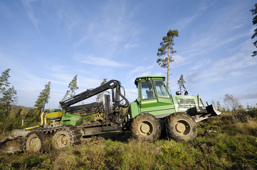 forest clearing truck