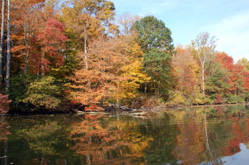 Obraz premium autumn reflection