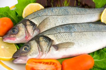 Fresh sea bass