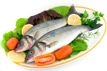 Fresh sea bass