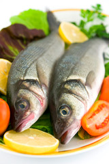 Fresh sea bass