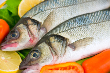 Fresh sea bass