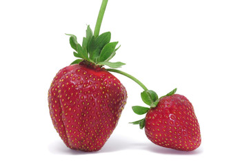 strawberries
