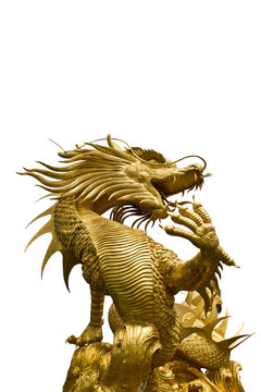 Golden dragon statue on white backgroud