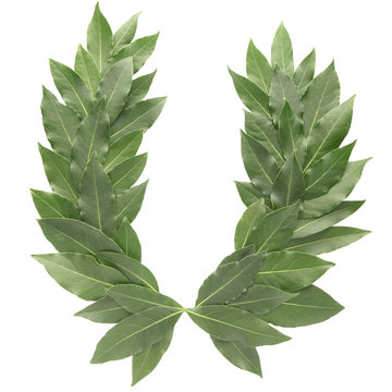 laurel wreath with clipping path