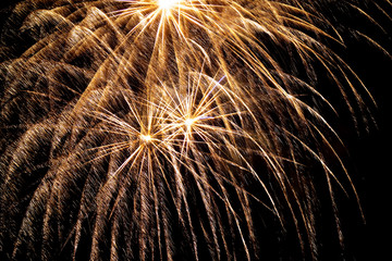 silvester