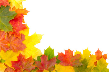 Fall leaves for an autumn background