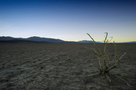 Death Valley Salt Flats