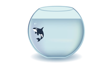 Glass bowl orca © blojfo