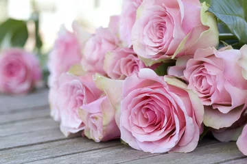 Photo sur Plexiglas Roses Belles roses roses