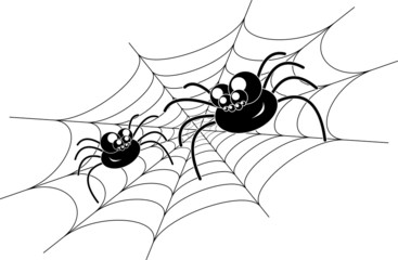 Spiders on web.