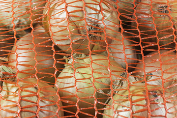 Onions in a net. Macro photo.